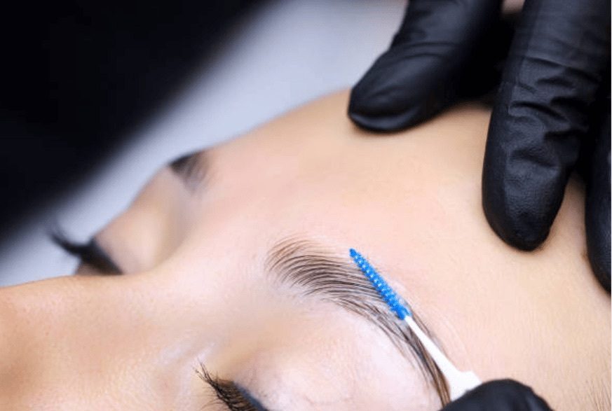 Brows at Glacial Lakes Aesthetics in Spicer, Minnesota